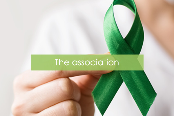 Κοιλιοκάκη